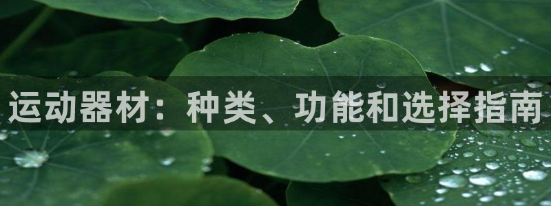海南tpwallet官网下载