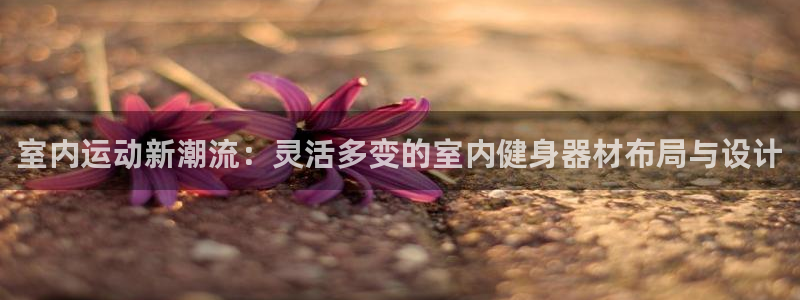 tpwallet官网下载注册：室内运动新潮流：灵活多变的室内