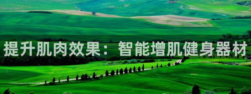 tpwallet官网下载平台注册：提升肌肉效果：智能增肌健身