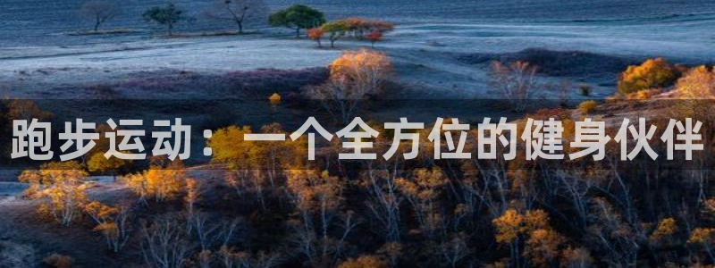 海南tpwallet官网下载发展怎么样：跑步运动：一个全方位