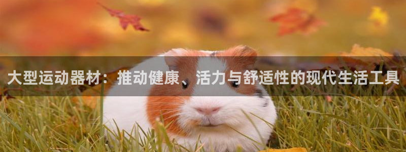 tp官方正版app娱乐下载：大型运动器材：推动健康、活力与舒