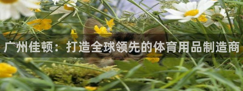 tpwallet官网下载招商：广州佳顿：打造全球领先的体育用