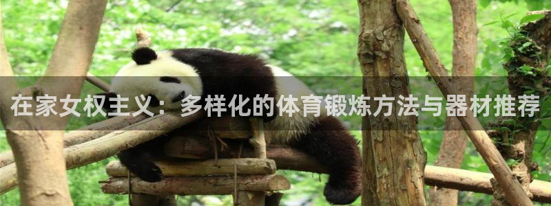 tpwallet官网下载官方客服电话：在家女权主义：多样化的