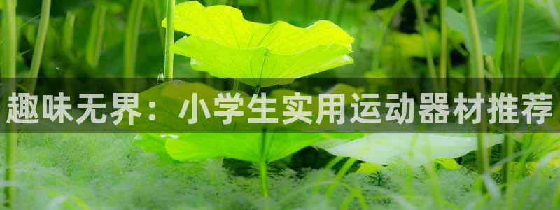 tpwallet官网下载平台是正规平台吗：趣味无界：小学生实