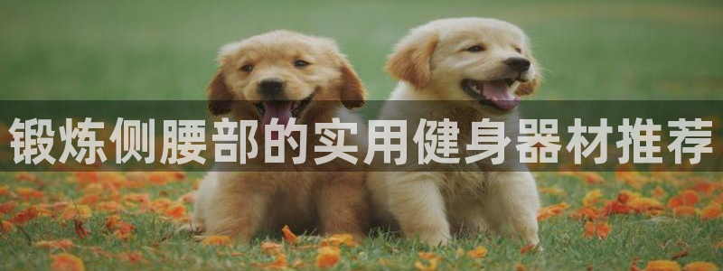 tpwallet官网下载招商电话号码查询：锻炼侧腰部的实用健