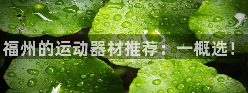 tp官方正版app娱乐网站：福州的运动器材推荐：一概选！
