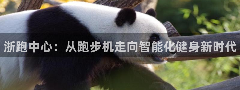 球王会体育
