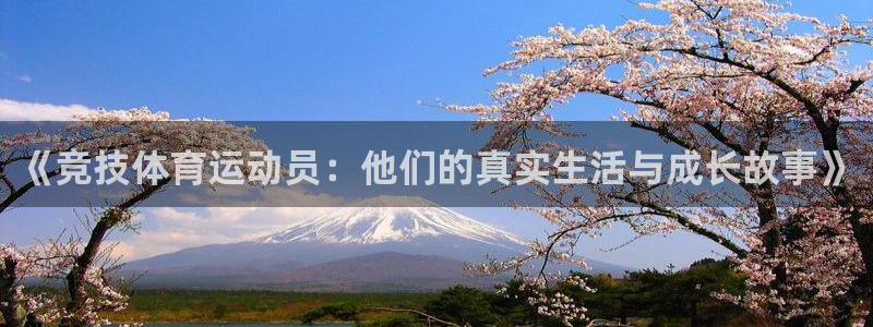 球王会体育