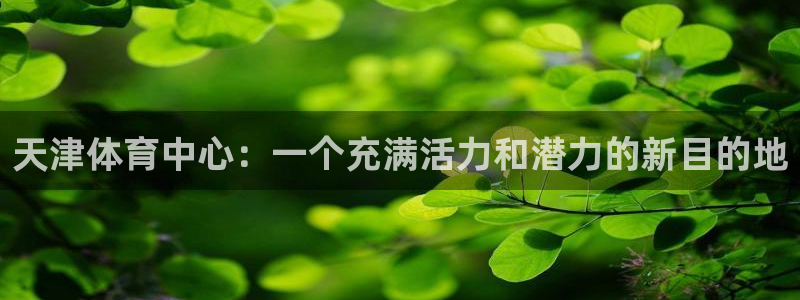 球王会体育