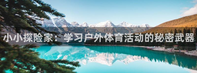 球王会体育