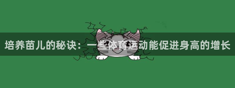 球王会体育