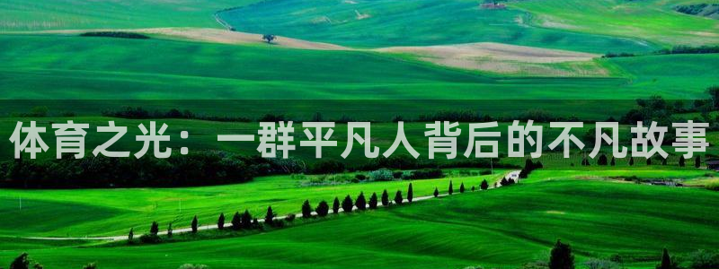 球王会体育