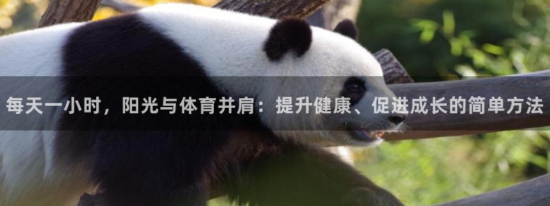 球王会体育