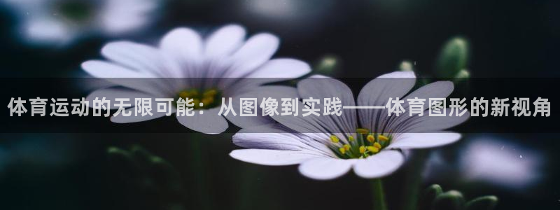 球王会体育