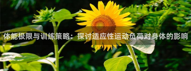 球王会体育：体能极限与训练策略：探讨适应性运动负荷对身体的影响