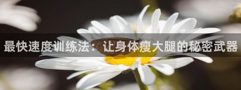 球王会体育：最快速度训练法：让身体瘦大腿的秘密武器