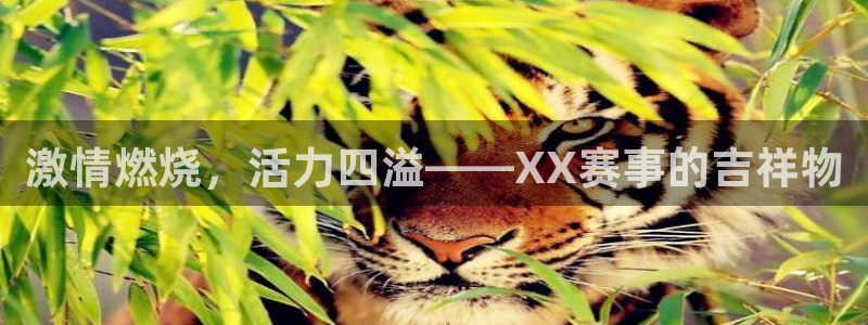 球王会体育：激情燃烧，活力四溢——XX赛事的吉祥物