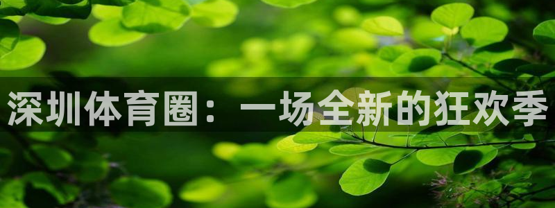 球王会体育