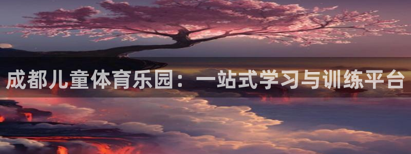 球王会体育：成都儿童体育乐园：一站式学习与训练平台