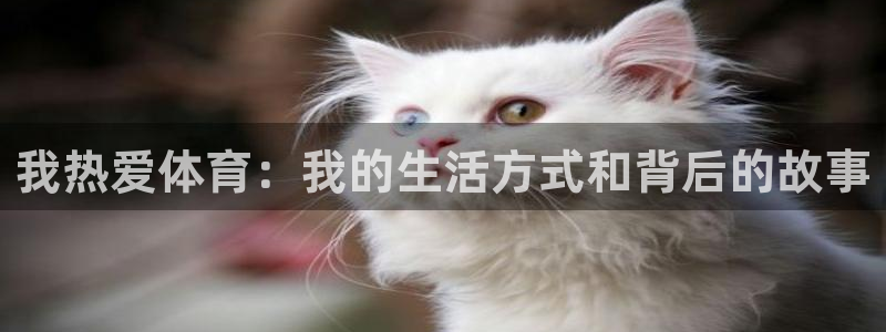 球王会体育：我热爱体育：我的生活方式和背后的故事