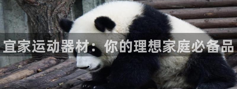 tp官方正版app开户:宜家运动器材:你的理想家庭必备品