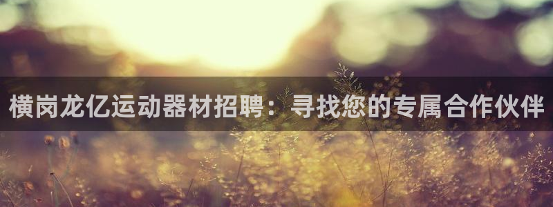 tp官方正版app娱乐首页网站大全：横岗龙亿运动器材