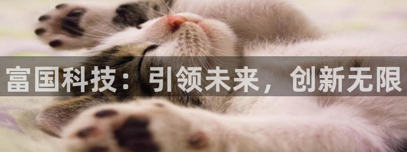tp官方平台体育：富国科技：引领未来，创新无限