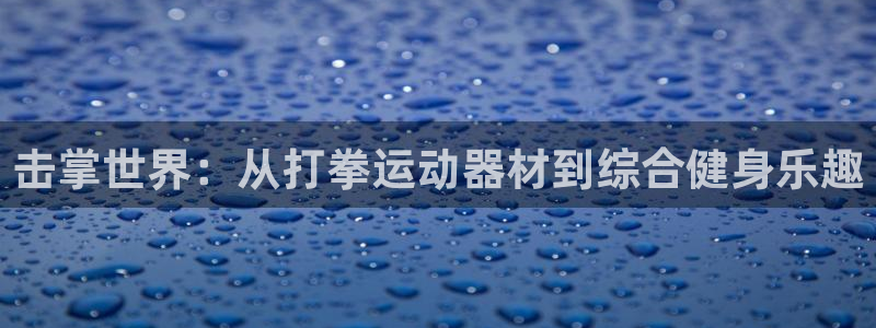 tp官方正版app娱乐平台：击掌世界：从打拳运动器材到综合健